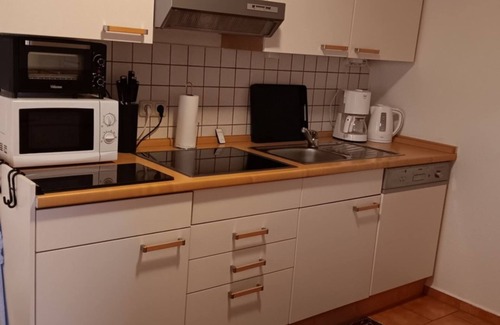 Schwarz Apartment | Apartment 1 - Guesthouse Alte Schule