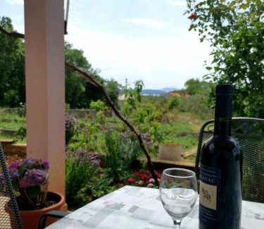 Banici Apartment | Apartment Ani