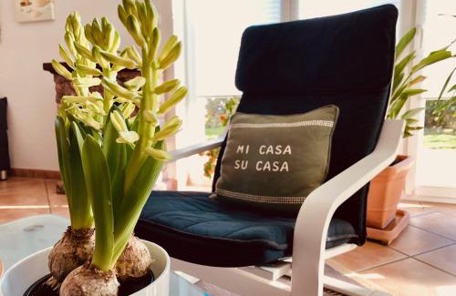 Steinsfurt Apartment | Apartment Casa del Monte