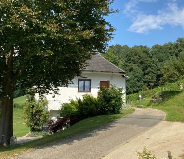 Mitterlimberg Apartment | Apartment direkt am Weingut Garber