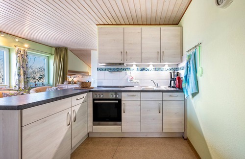 Schulp Apartment | Apartment 'Fluss Aufwärts' with Private Terrace and Wi-Fi