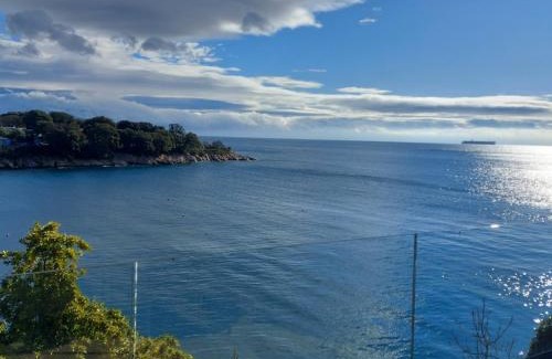 Drenje Apartment | Apartment Franka