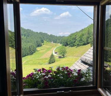 Traunkirchen Apartment | Apartment Hochsteinalm