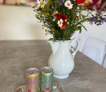 Weinboehla Apartment | Apartment im Elbtal Dresden, Meißen, Moritzburg