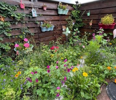 Lambrecht Apartment | Apartment im Pfälzerwald