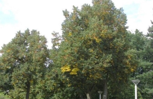 Iserlohn Apartment | Apartment in a quiet location near the center in Iserlohn with a large terrace