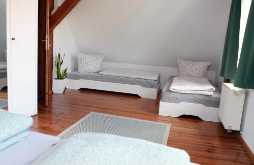 Muritz Apartment | Apartment in Moltzow- viel Platz in ländlicher Lage