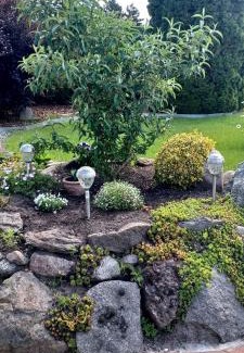 Sehlen Apartment | Apartment in Sehlen - Insel Rügen 3026