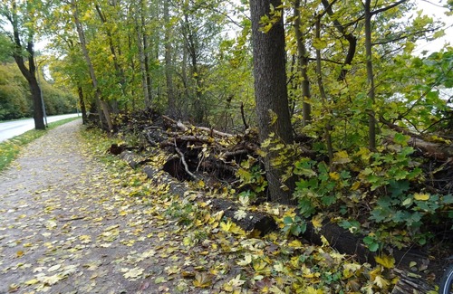 Gartenstadt Apartment | Apartment in Strausberg Near Straussee Lake