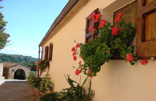 Colleoli Apartment | Apartment "Levante" Agriturismo Fattoria Casanova Colleoli Palaia (Pisa)