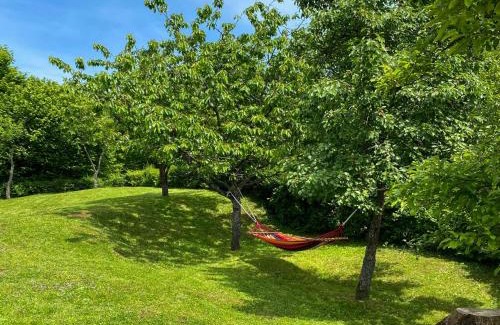 Brod Moravice Apartment | Apartment Maklen-1 by Interhome