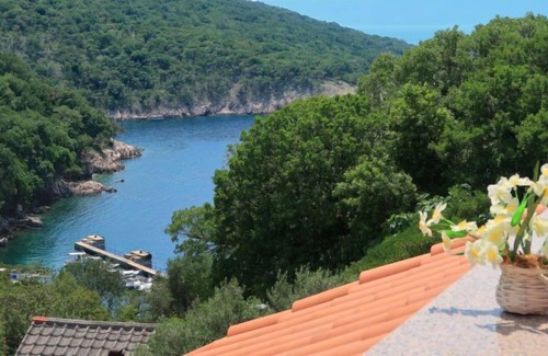 Porozina Apartment | Apartment Margareta (ICS102) in Cres/Cres - 4 persons, 1 bedrooms