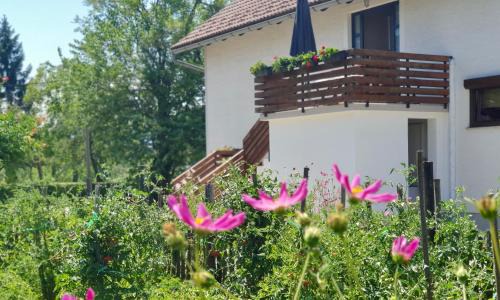 Dreznik Grad Apartment | Apartment Murva