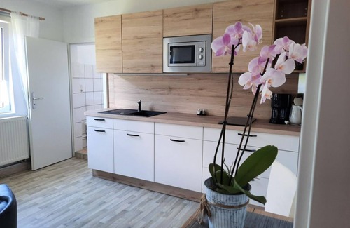 Pfaffendorf Apartment | Apartment "Pfaffenstein", living room/bedroom - Ferienhof Müller