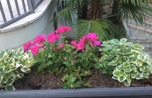 Dramalj Apartment | Apartment Sanja