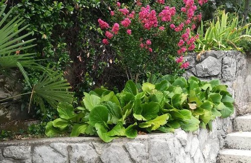 Ika Apartment | Apartment Sanja