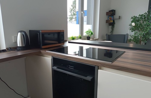 Gemarkung Nachstebreck Apartment | Apartment 'The Golden Lion - Quiet - Car Park' with Private Garden and Wi-Fi