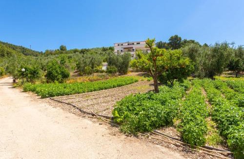 Peschici Apartment | Apartment Villa Tavaglione-2 by Interhome