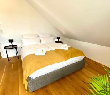 Mainz-Bingen Apartment | Apartmentkombi Eltville für bis zu 8 Personen
