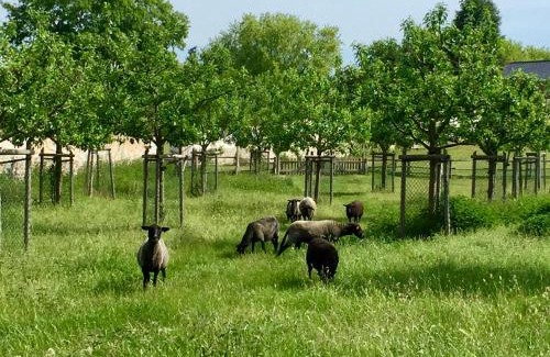 Schoeneberg b. Angermuende Apartment | Apartments "Am Nationalpark"