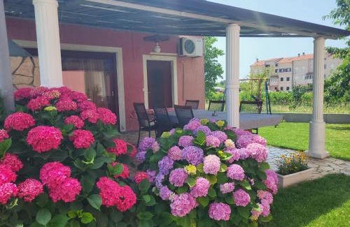 Vrvari Apartment | Apartments Dragica