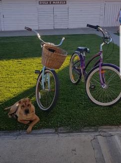 Karanac Apartment | Apartments Ivica i Marica