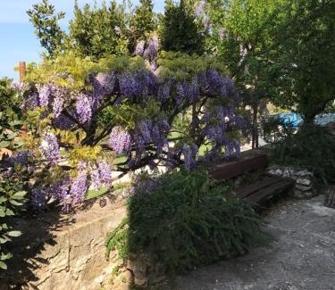 Vrsar Apartment | Apartments Marina