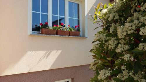 Bjelovar Apartment | Apartments Place4you