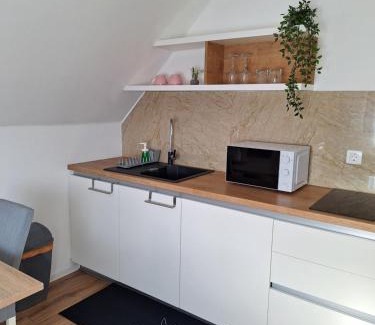 Poljanak House | Apartments Poljanak