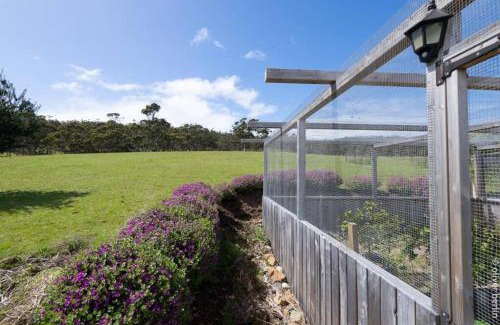 North Bruny House | Apollo's Rest