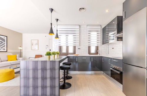 Embajadores Apartment | Apolo Terrace III apartment in Madrid