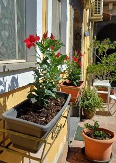 Cibali Apartment | Appartamento A casa di Bert - Catania