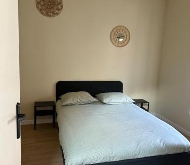 Saint-Etienne Apartment | Appartement 2 chambres gare chateaucreux