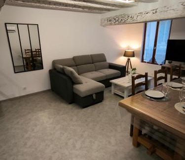 Selles-sur-Cher Apartment | Appartement 6-8 personnes, gîte, climatisé, classé 3 étoiles, proche du zoo de Beauval et des châteaux de la Loire