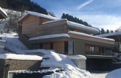 Alpendorf Apartment | Appartement Schwarz