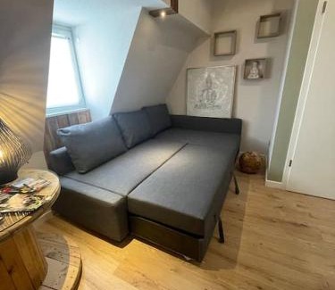 Benfeld Apartment | Appartement avec Sauna - Europa Park