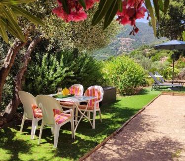Pardigon Apartment | Appartement chaleureux à Cavalaire-sur-Mer 40 m² avec terrasse