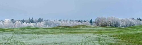 Ankum Apartment | Appartement Crows Nest