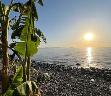 Trougout House | Appartement dans villa