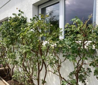 Grimisuat Apartment | Appartement Havre de Paix