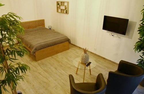 Draveil Apartment | Appartement Tropical et JACUZZI Balnéothérapie Draveil