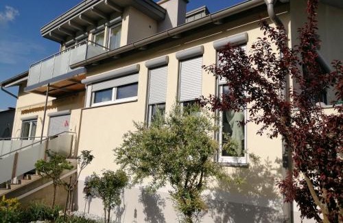 Baernbach Apartment | Appartementhaus Elfi