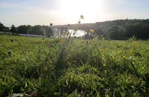 Lenzen Apartment | Appartementhof Fastnacht am See