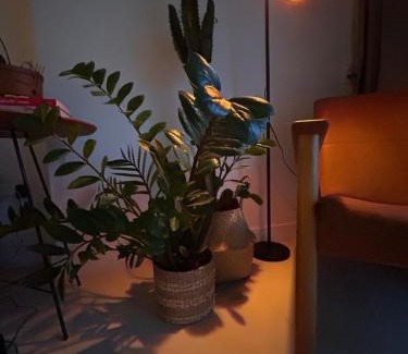 Camorim Apartment | Apto RioCentro, Parque Olímpico Barra da Tijuca RJ