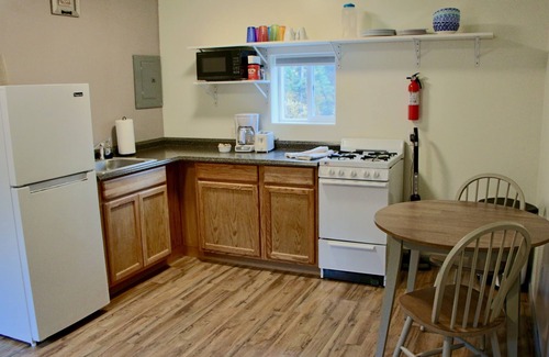 Healy Cabin | Arctic Dragonfly Inn