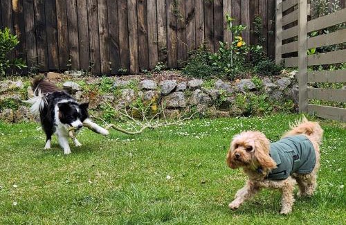 Pukehangi Apartment | Arias Farm accomodation Rotorua