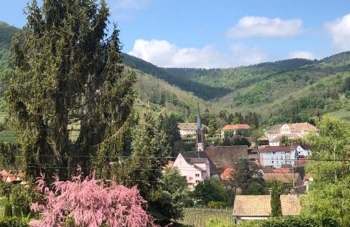 Ribeauville Apartment | Art & Bretzel