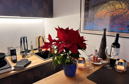 Suedvorstadt Apartment | Artappartement an der "karli" Leipzig Zentrum Süd Connewitz