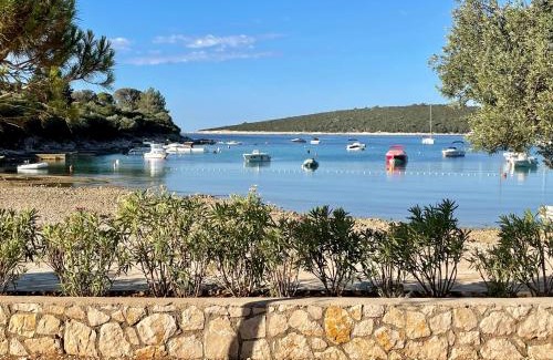 Artatore Apartment | Artatore24 - Modern and stylish Apartments