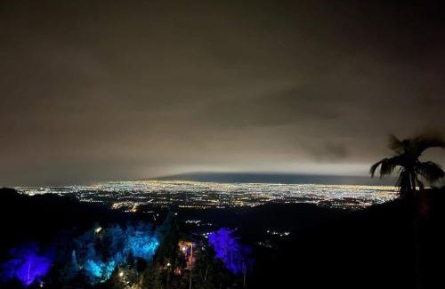 Gukeng House | Artistic Forest